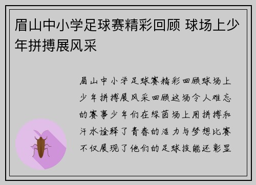 眉山中小学足球赛精彩回顾 球场上少年拼搏展风采