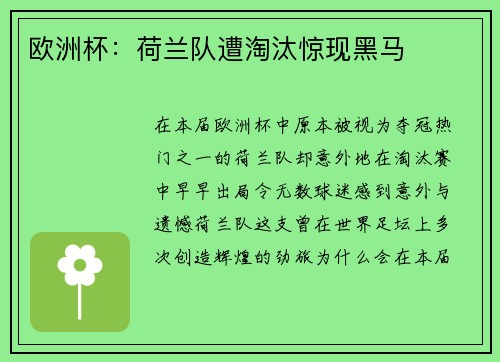 欧洲杯：荷兰队遭淘汰惊现黑马