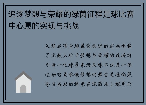 追逐梦想与荣耀的绿茵征程足球比赛中心愿的实现与挑战